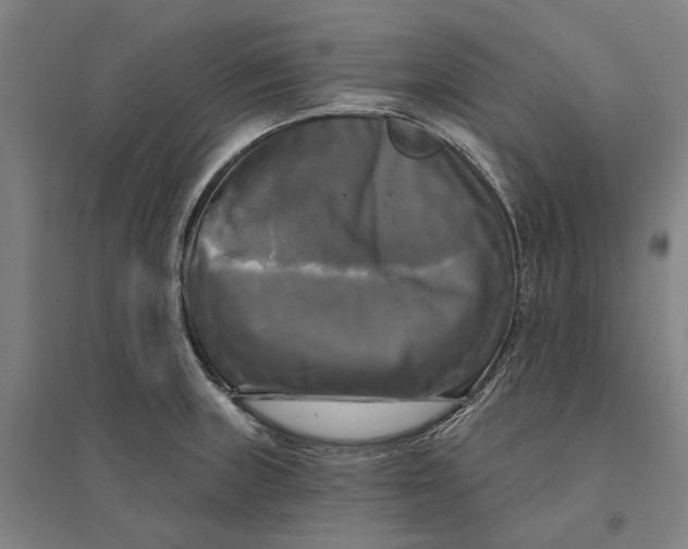 X0000095111235200712301729