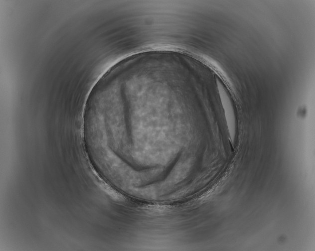 X0000095111236200712301729