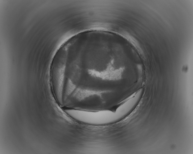 X0000095111240200712301729