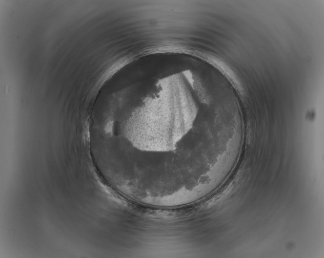 X0000095111241200712301729