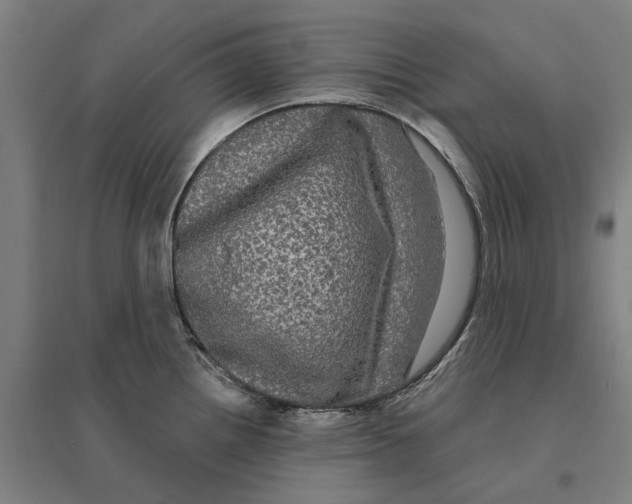 X0000095111242200712301729