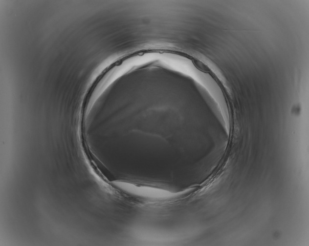 X0000095111245200712301729