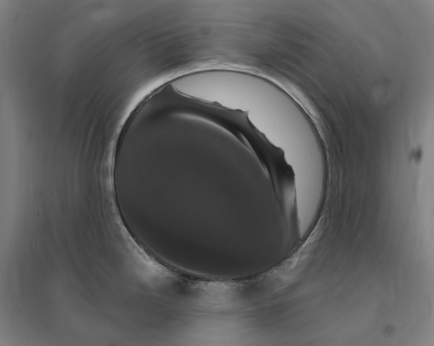 X0000095111246200712301729