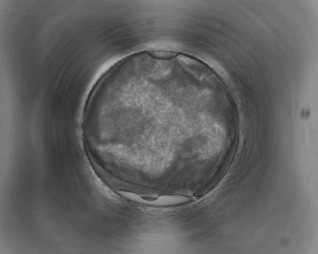 X0000095111248200712301729