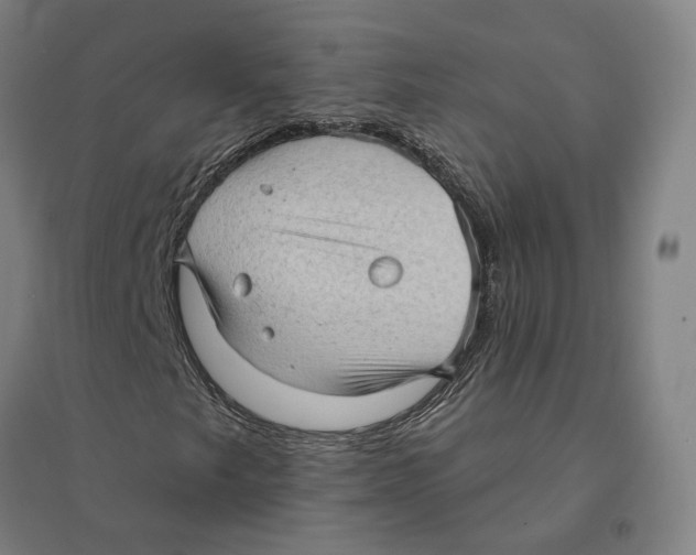 X0000095111249200712301728