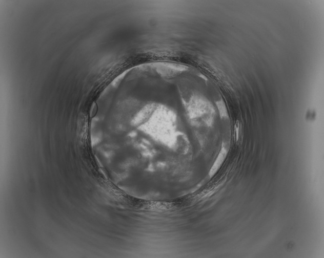 X0000095111251200712301728