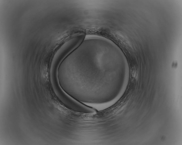 X0000095111252200712301728