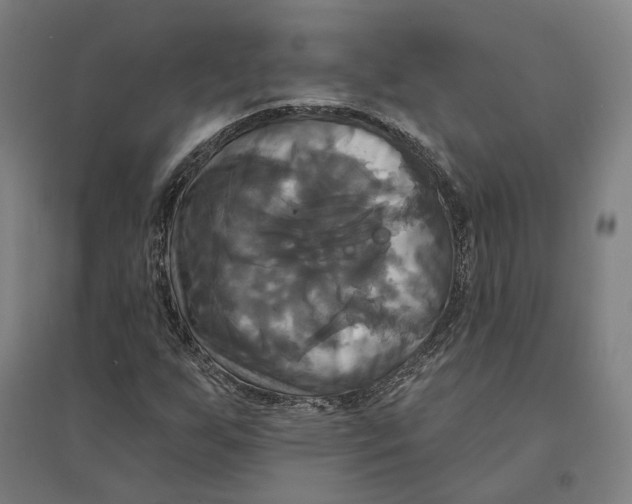 X0000095111255200712301728