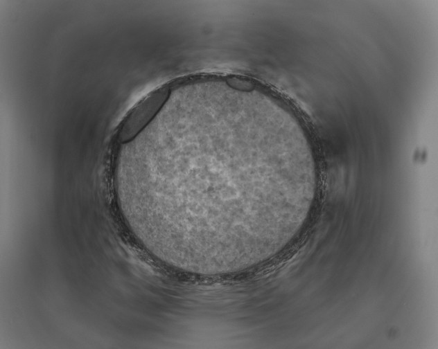 X0000095111256200712301728