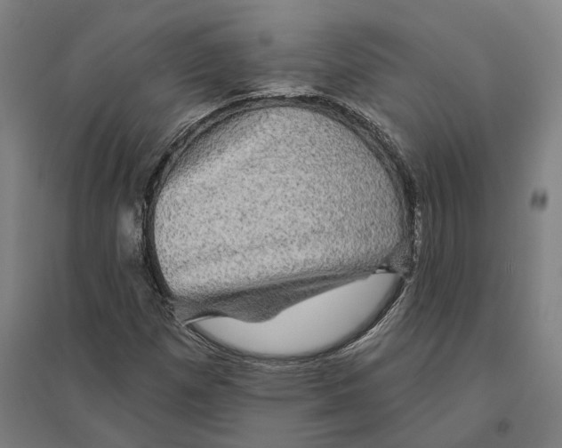 X0000095111257200712301728