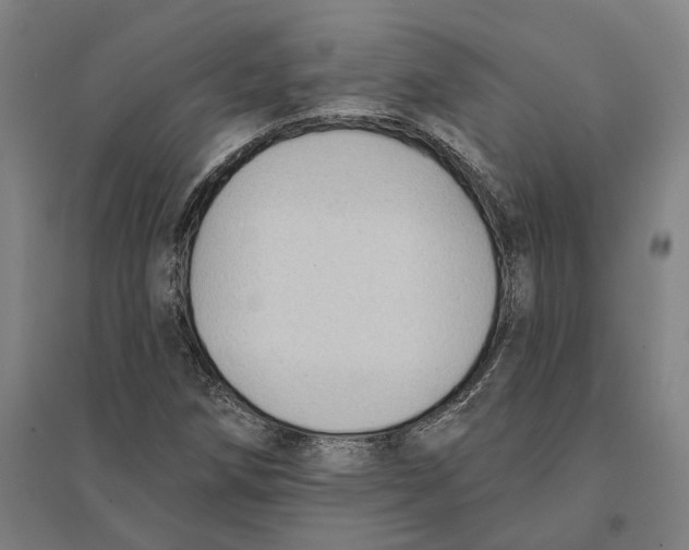 X0000095111258200712301728