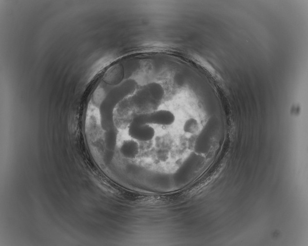 X0000095111259200712301728