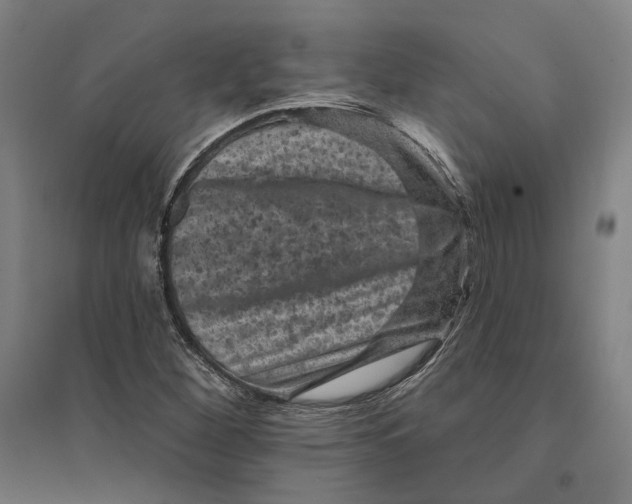 X0000095111260200712301728