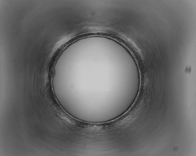 X0000095111261200712301728