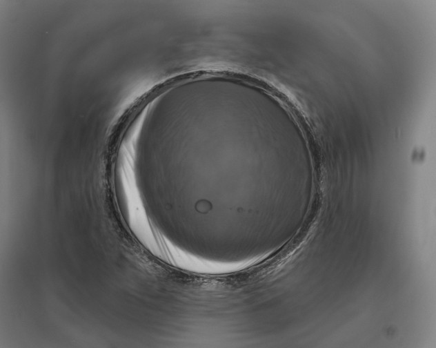 X0000095111263200712301728