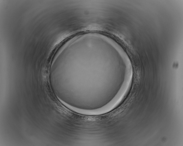 X0000095111266200712301728