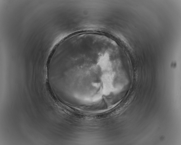 X0000095111267200712301728