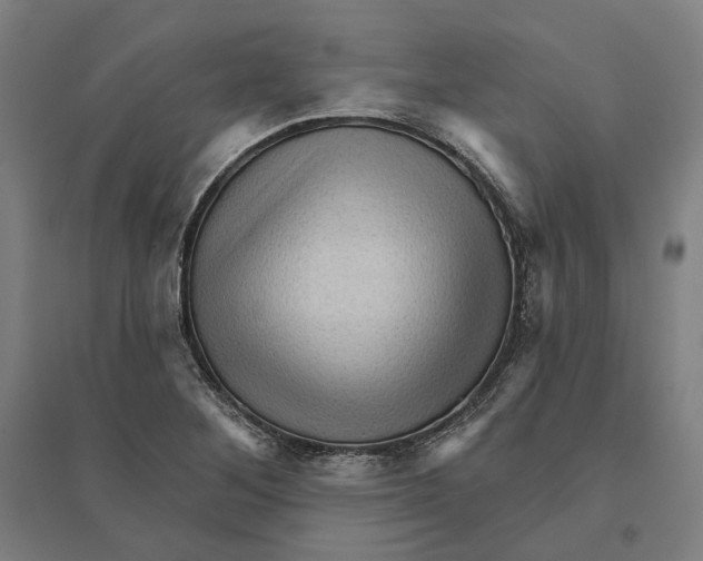 X0000095111268200712301728