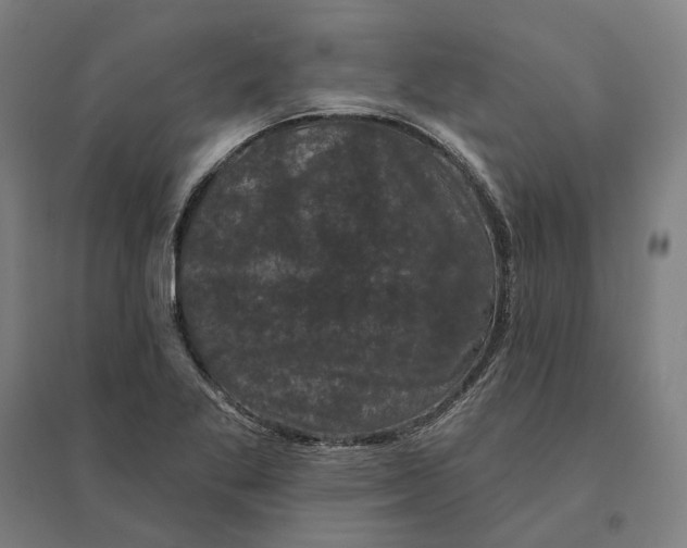 X0000095111269200712301728