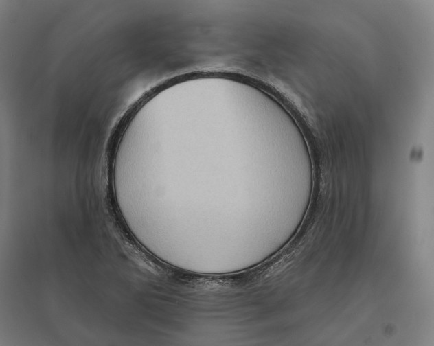 X0000095111270200712301728