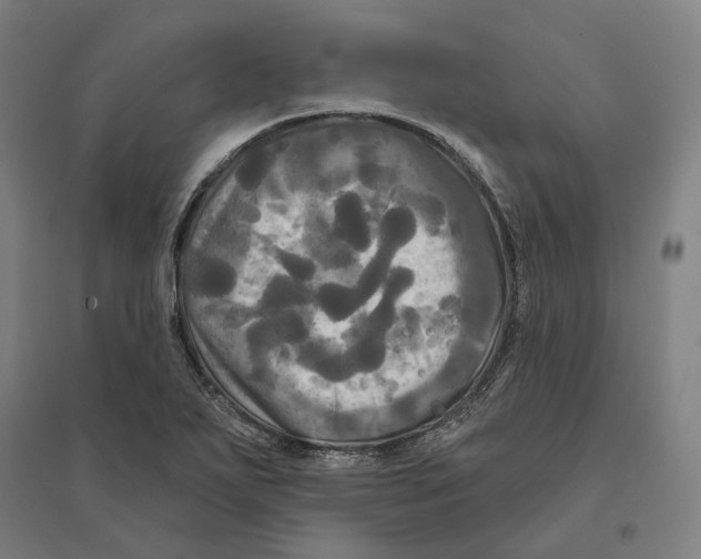 X0000095111271200712301728