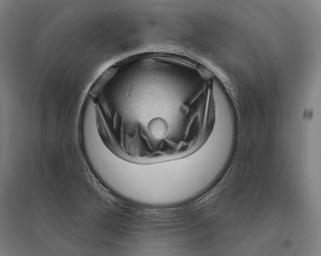 X0000095111272200712301728