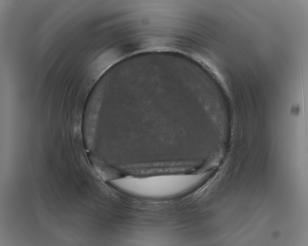 X0000095111273200712301728