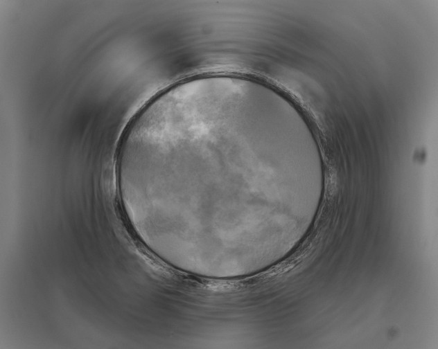 X0000095111274200712301728