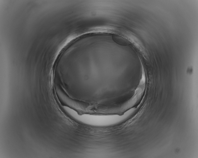 X0000095111275200712301728