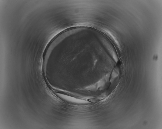 X0000095111276200712301728