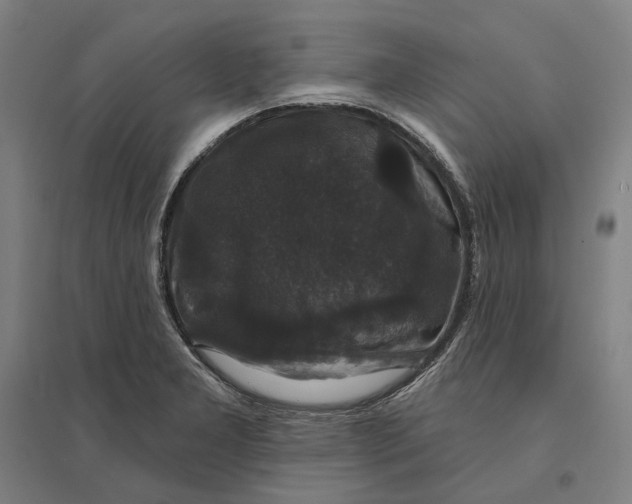 X0000095111277200712301728