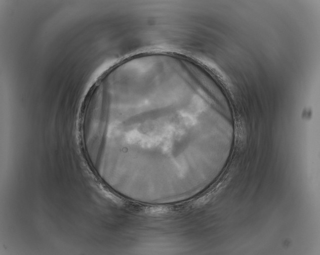 X0000095111278200712301728