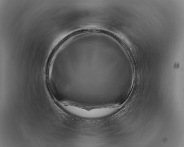 X0000095111279200712301728