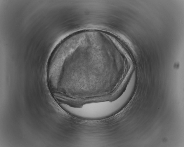 X0000095111280200712301727