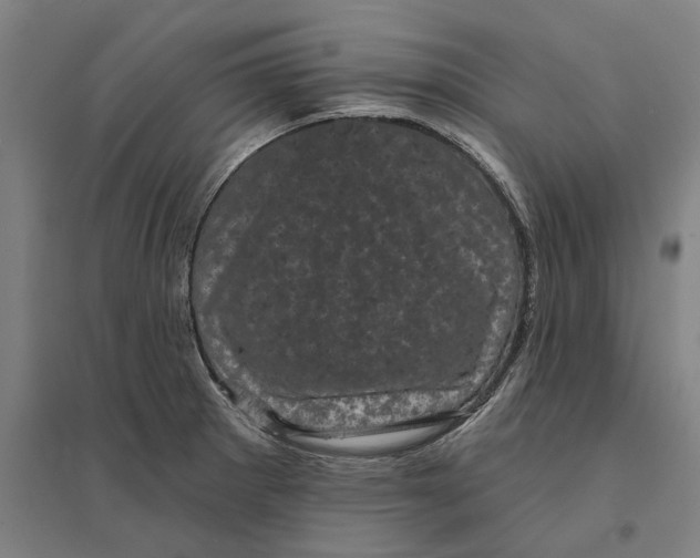 X0000095111281200712301727