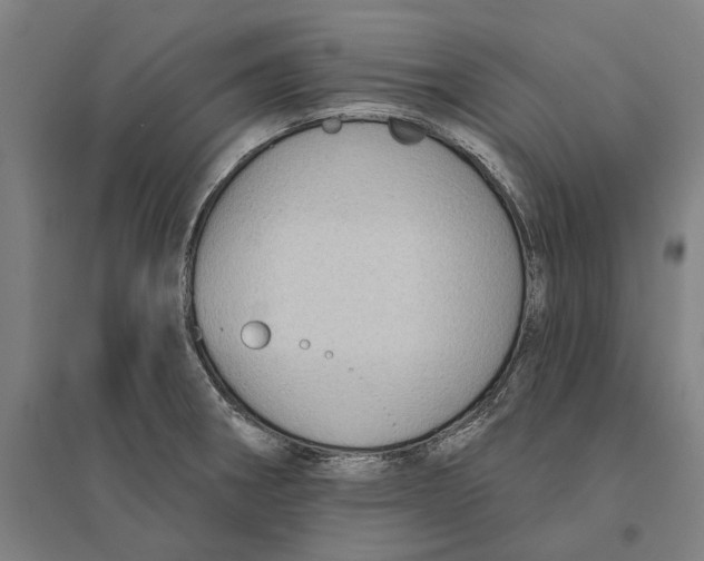 X0000095111282200712301727