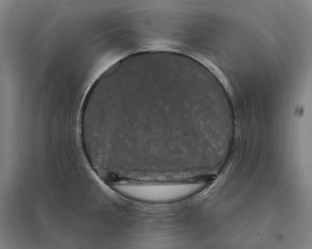 X0000095111285200712301727