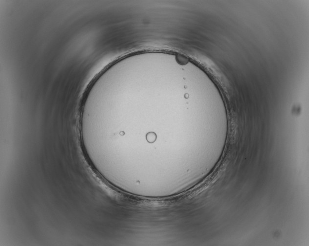 X0000095111286200712301727