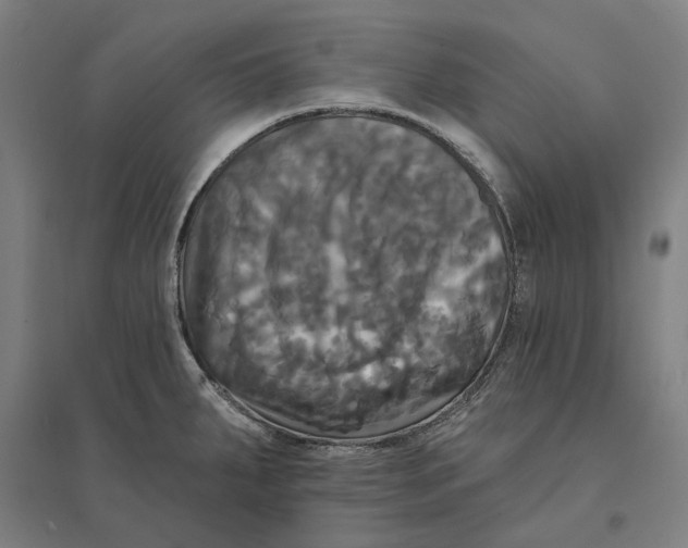 X0000095111287200712301727