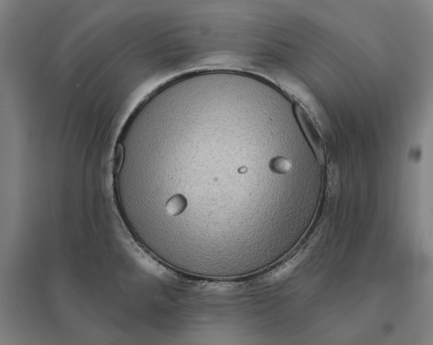 X0000095111288200712301727