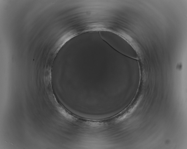 X0000095111289200712301727