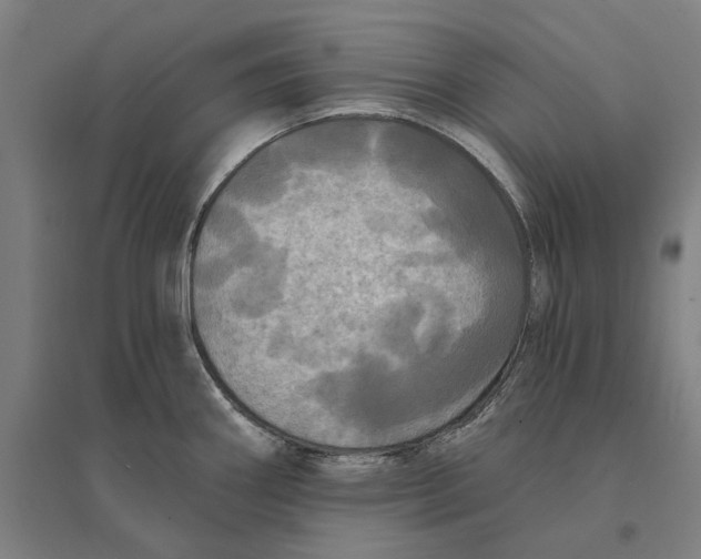 X0000095111290200712301727