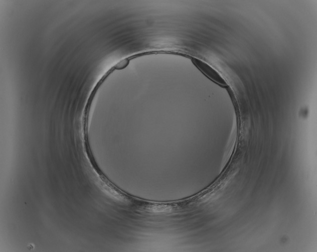 X0000095111291200712301727