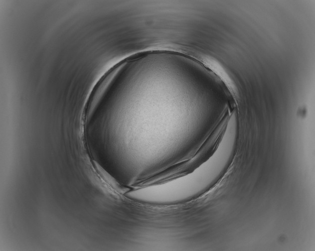 X0000095111292200712301727