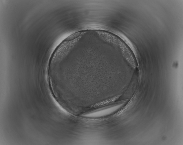 X0000095111293200712301727