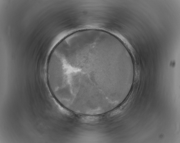 X0000095111294200712301727