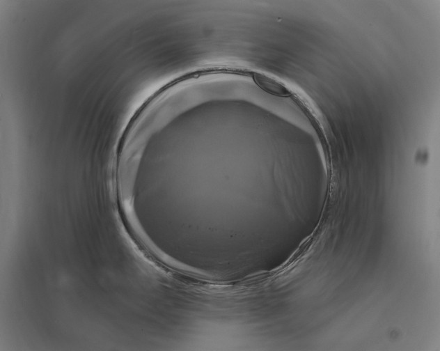 X0000095111295200712301727