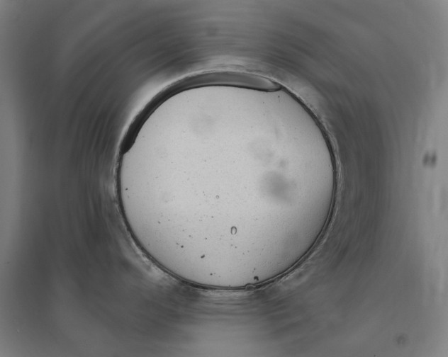 X0000095111296200712301727