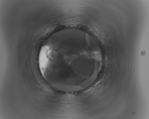 X0000095111297200712301726