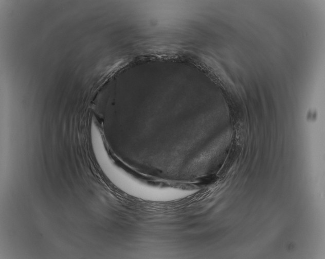 X0000095111298200712301726